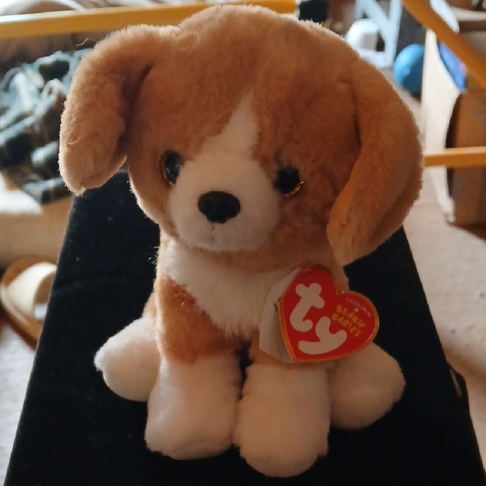 Ty Plush Dog Toy in Brown and White (Franklin)